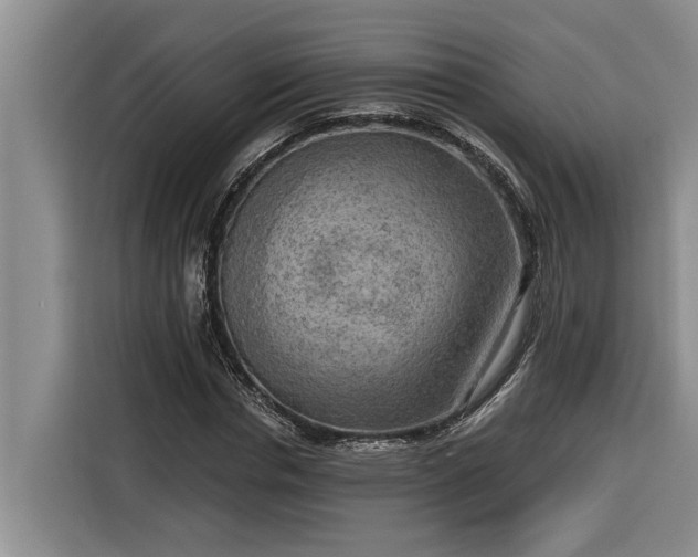 X0000116300826200912071246