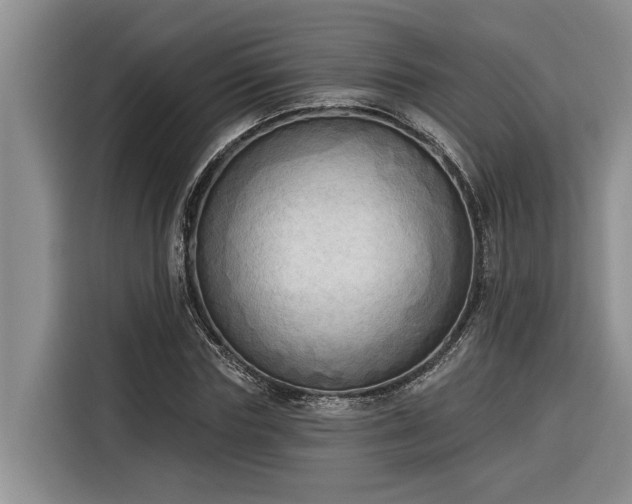 X0000116300827200912071247