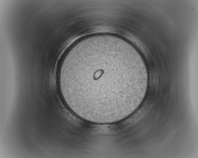 X0000116300828200912071247