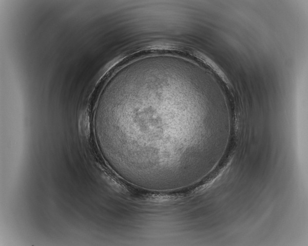 X0000116300829200912071247