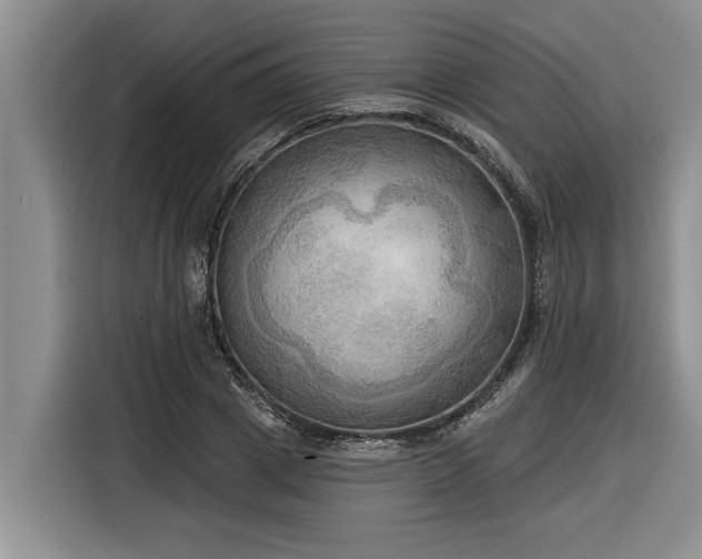 X0000116300833200912071247