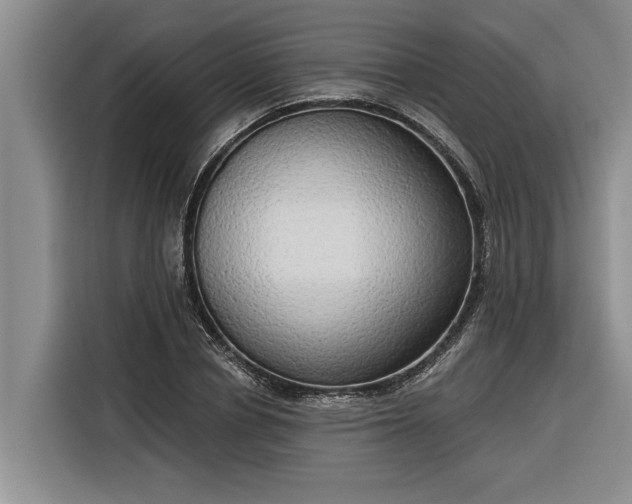 X0000116300834200912071247