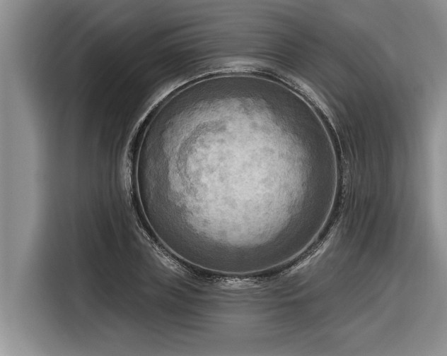 X0000116300835200912071247