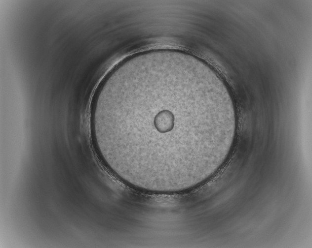 X0000116300836200912071247