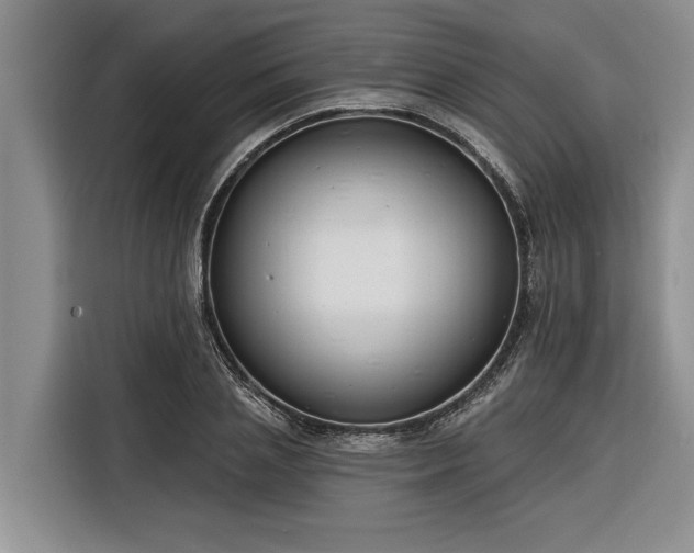 X0000116300837200912071247