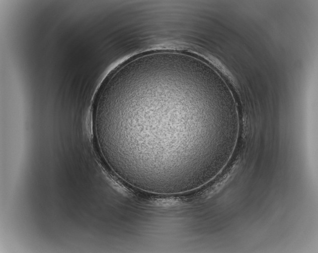 X0000116300838200912071247