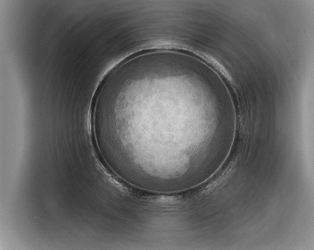 X0000116300839200912071247