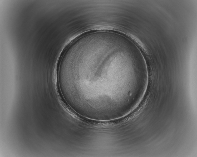 X0000116300840200912071247