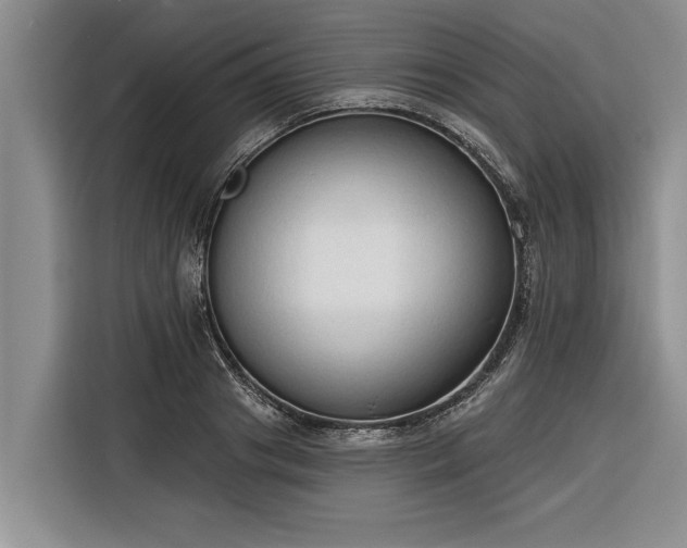 X0000116300841200912071247