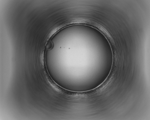 X0000116300842200912071247