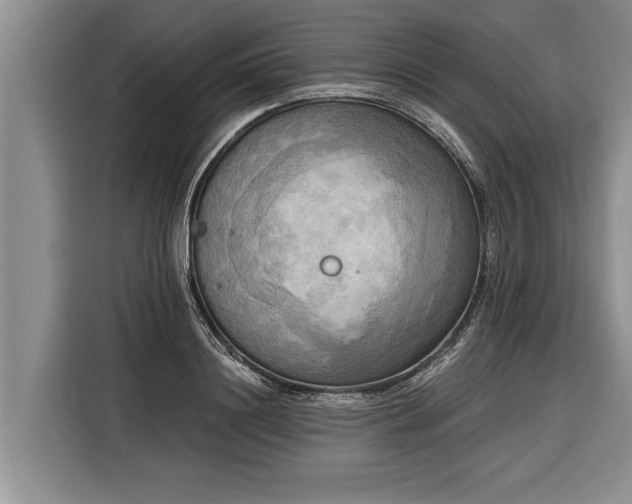 X0000116300844200912071247