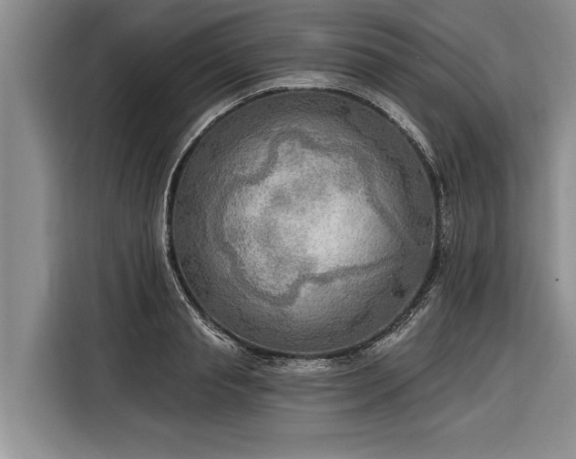 X0000116300845200912071247