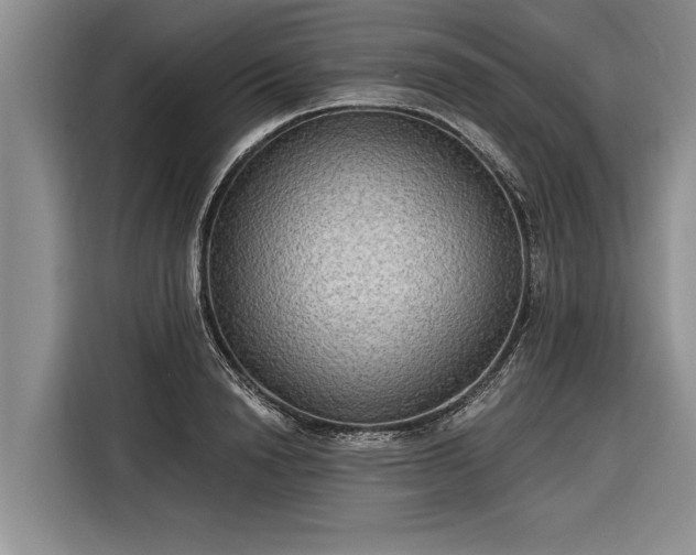 X0000116300846200912071247