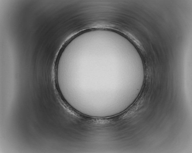 X0000116300848200912071247