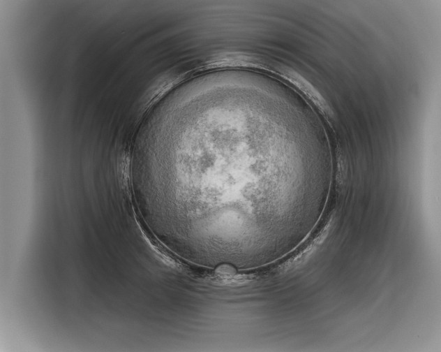 X0000116300849200912071247