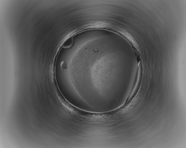 X0000116300850200912071247