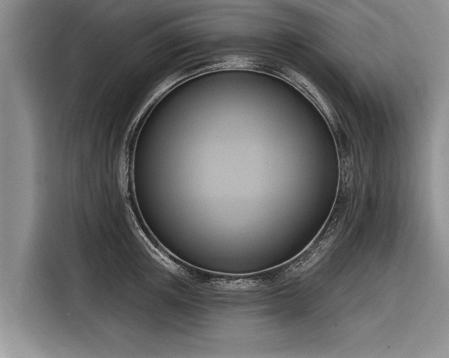 X0000116300851200912071247