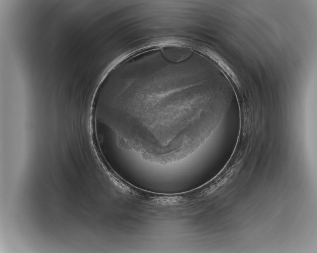 X0000116300853200912071247