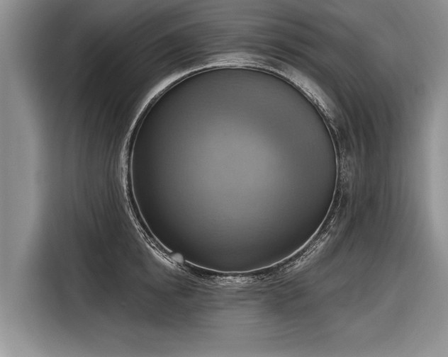 X0000116300854200912071247