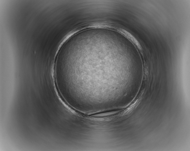 X0000116300855200912071247