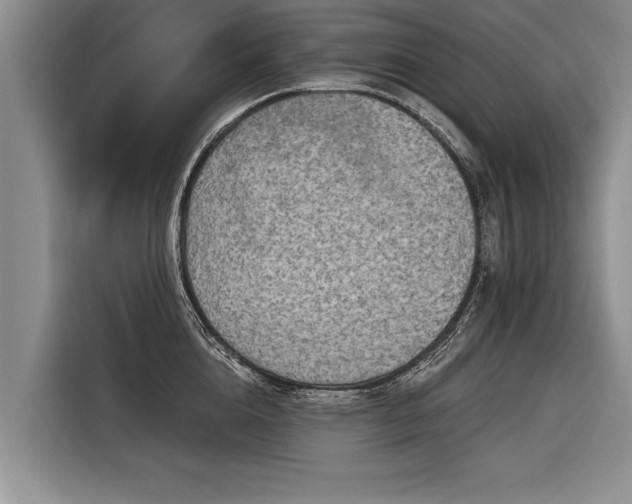 X0000116300856200912071247