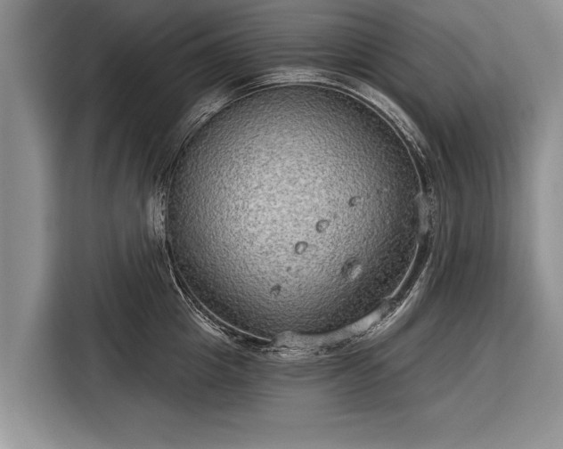 X0000116300857200912071247