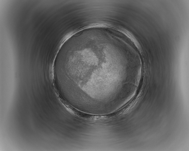 X0000116300858200912071247