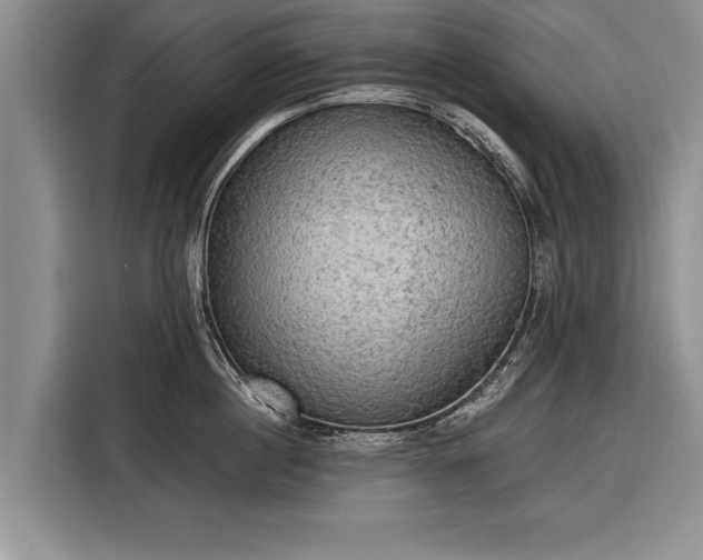 X0000116300860200912071247