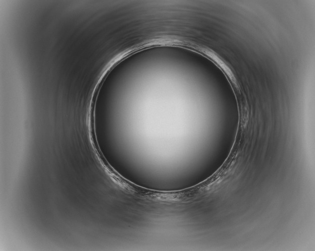 X0000116300861200912071247