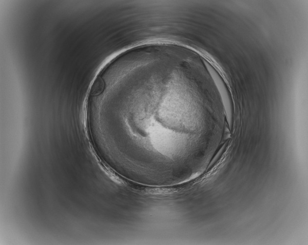 X0000116300862200912071247