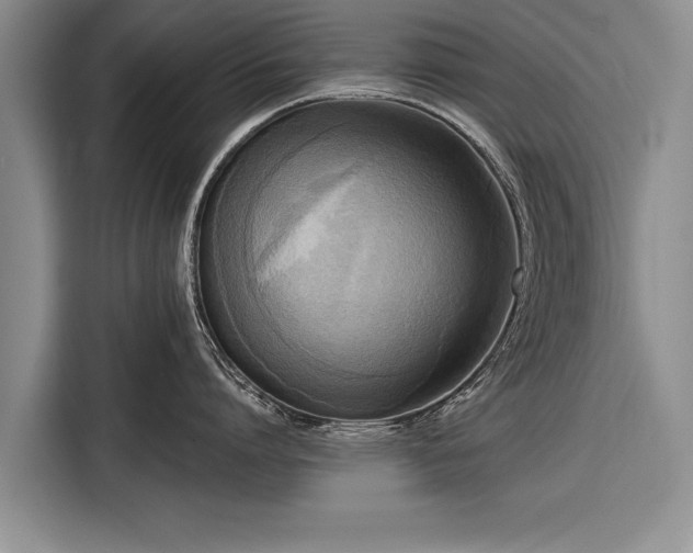 X0000116300864200912071247