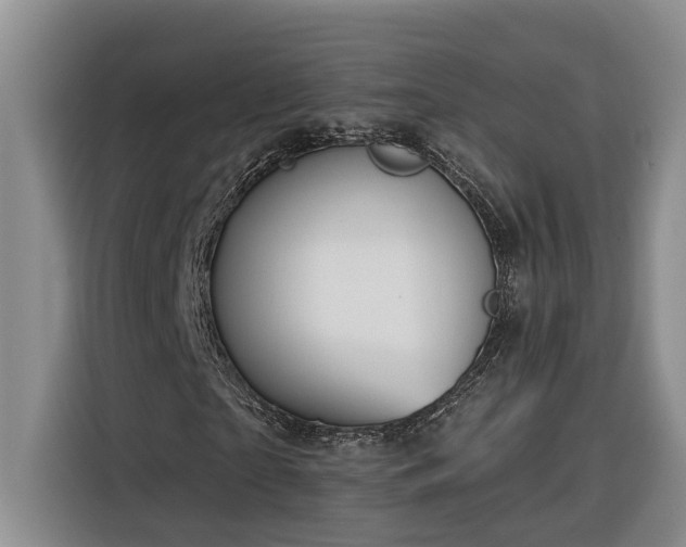 X0000116300865200912071246