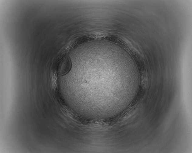 X0000116300866200912071246