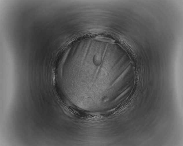 X0000116300868200912071246