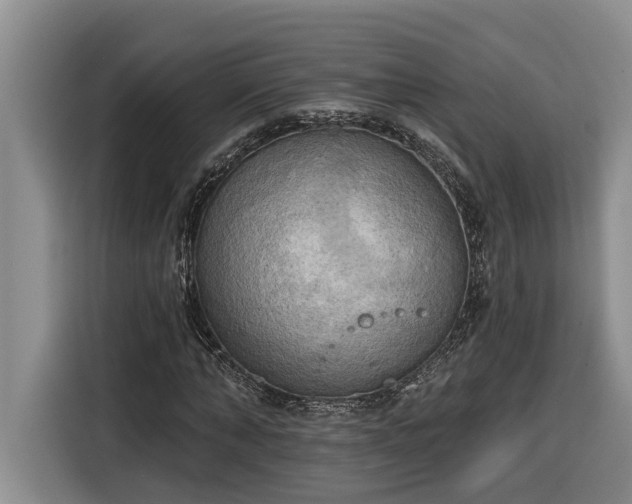 X0000116300870200912071246