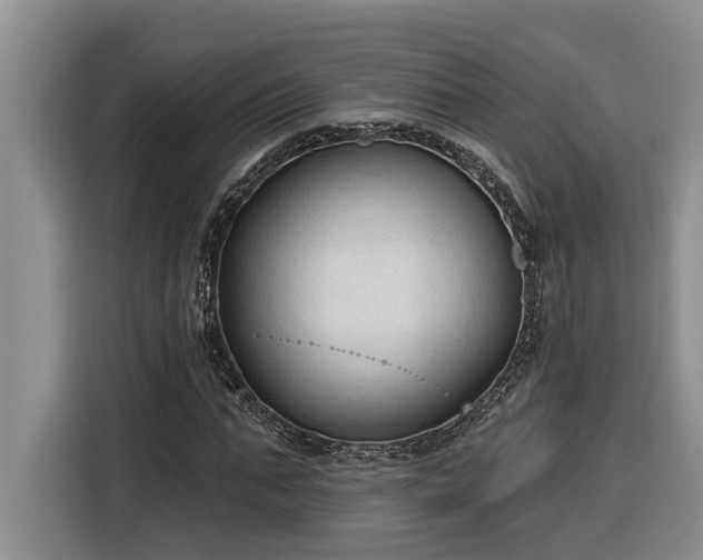 X0000116300871200912071246