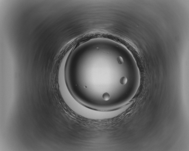 X0000116300872200912071246