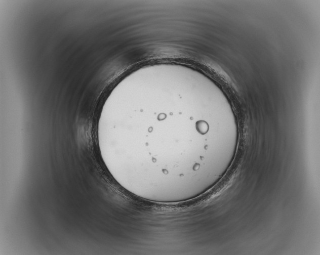 X0000116300873200912071246