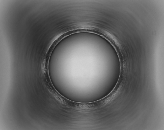 X0000116300875200912071246