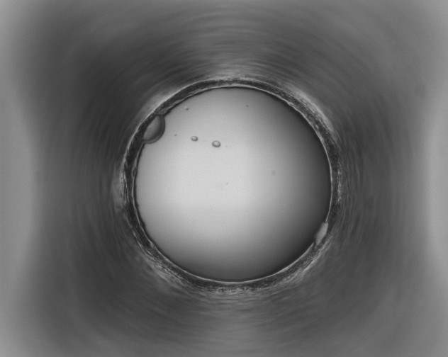 X0000116300876200912071246