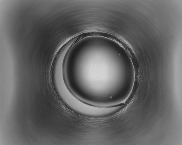 X0000116300877200912071246