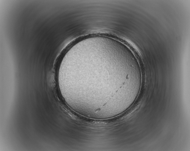 X0000116300878200912071246