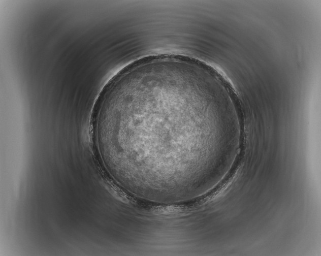 X0000116300879200912071246