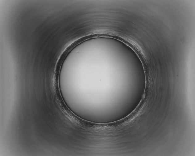 X0000116300880200912071246