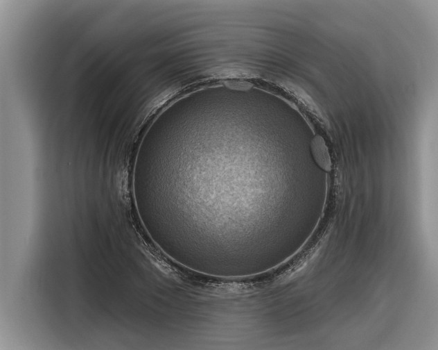 X0000116300881200912071246