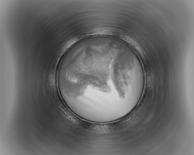 X0000116300882200912071246