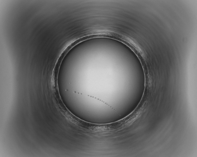 X0000116300883200912071246