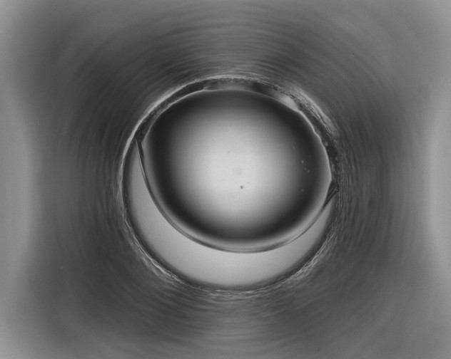 X0000116300884200912071246