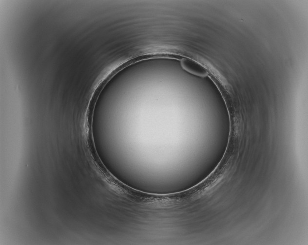 X0000116300885200912071246