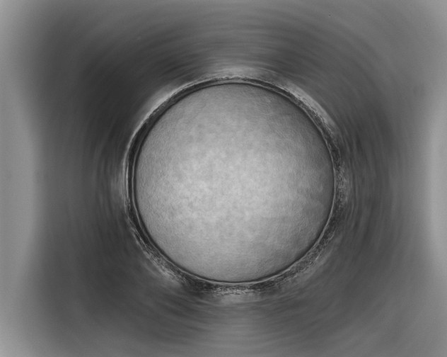 X0000116300886200912071246